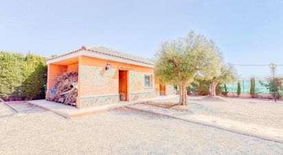 House 4 bedrooms of 317 m² in Partida Peña de Las Aguilas (03296)