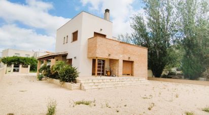 Gîte 5 chambres de 155 m² à Deltebre (43580)