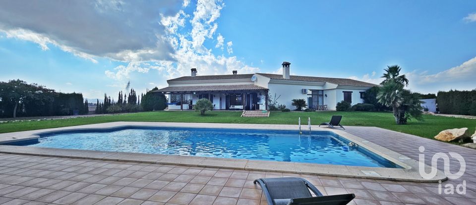 Cottage 4 bedrooms of 429 m² in Purias (30813)