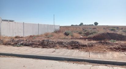 Terreno de 421 m² en Cañada Rosal (41439)