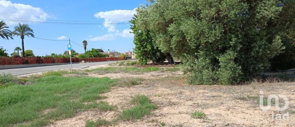 Country house 3 bedrooms of 250 m² in Partida Las Bayas (03292)