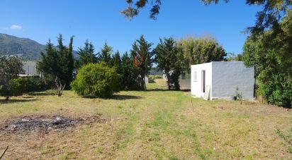 Terreno de 1.250 m² en Tarifa (11380)