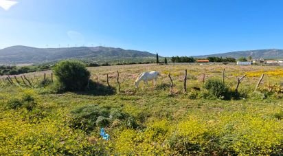 Terrain de 1 250 m² à Tarifa (11380)