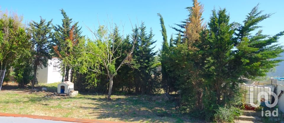 Terrain de 1 250 m² à Tarifa (11380)