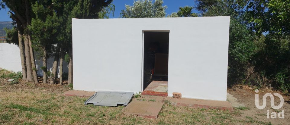 Terreno de 1.250 m² en Tarifa (11380)