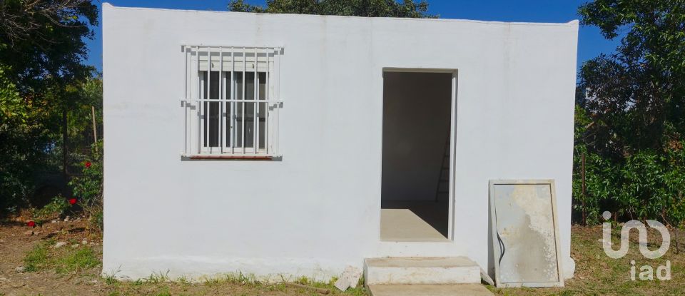 Terra de 1.250 m² a Tarifa (11380)