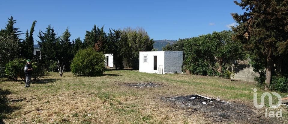 Terrain de 1 250 m² à Tarifa (11380)