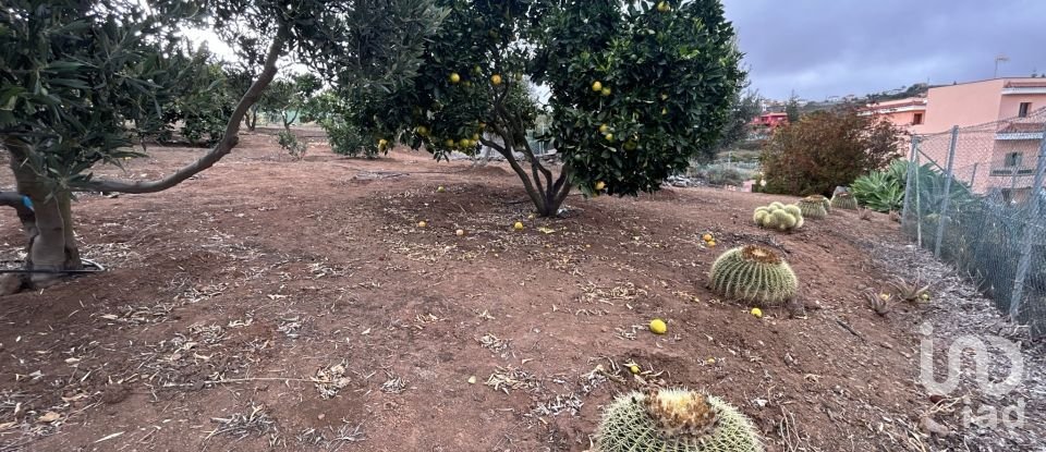 Terrain de 3 580 m² à Las Palmas de Gran Canaria (35018)