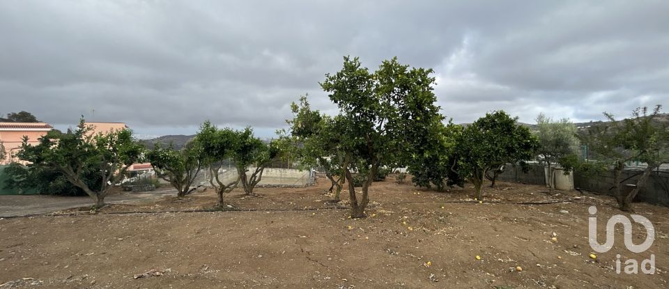 Terra de 3.580 m² a Las Palmas de Gran Canaria (35018)