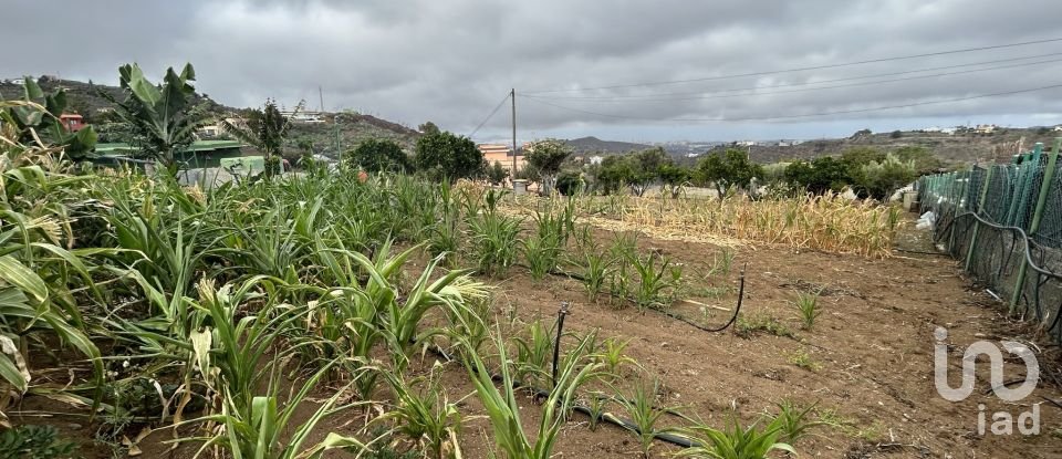 Terrain de 3 580 m² à Las Palmas de Gran Canaria (35018)