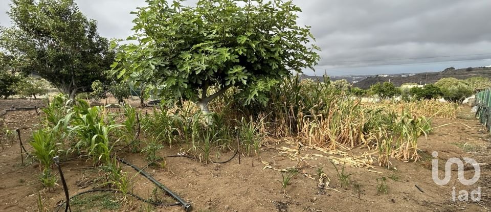 Terreno de 3.580 m² en Las Palmas de Gran Canaria (35018)