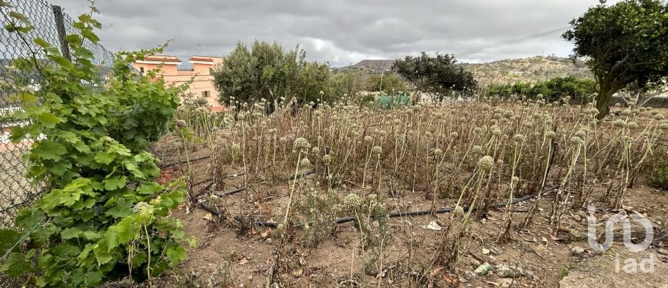 Terrain de 3 580 m² à Las Palmas de Gran Canaria (35018)