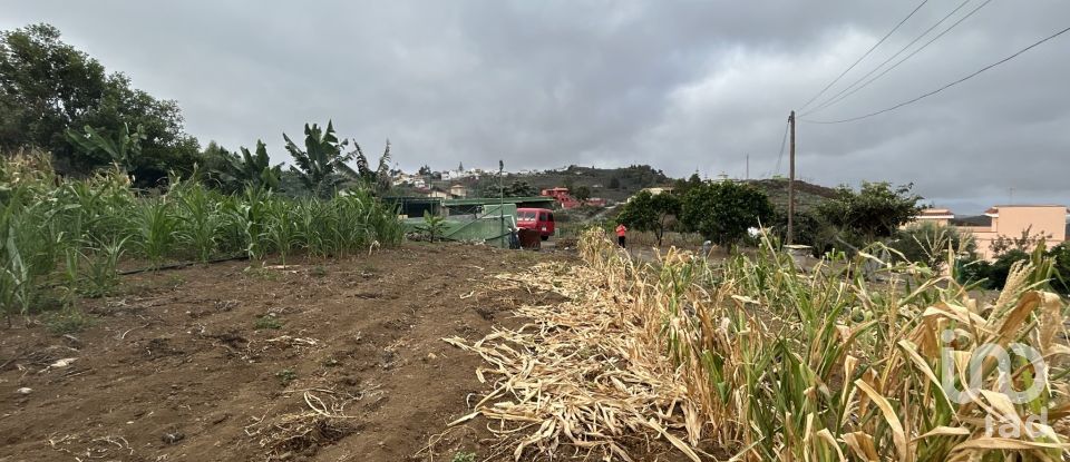 Terrain de 3 580 m² à Las Palmas de Gran Canaria (35018)