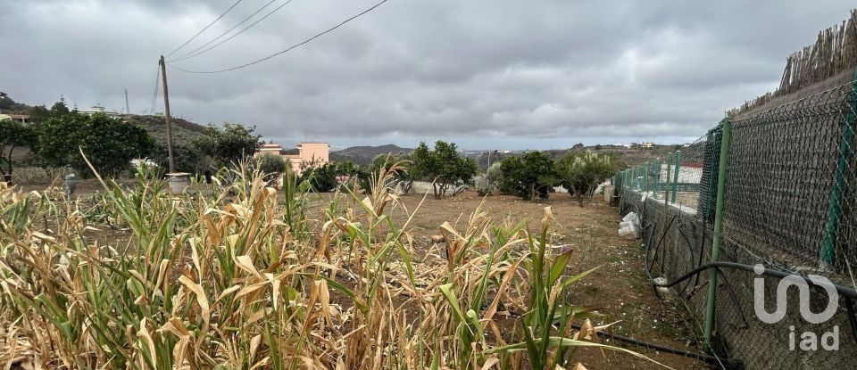 Terrain de 3 580 m² à Las Palmas de Gran Canaria (35018)