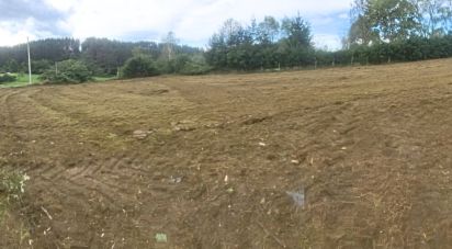 Terreno de 1.800 m² en Andeko (48116)