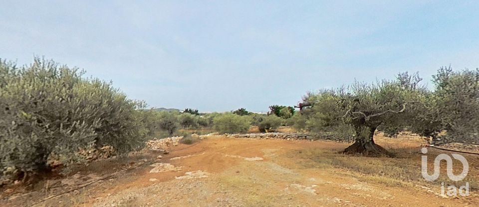 Terrain de 7 486 m² à Alcanar (43530)