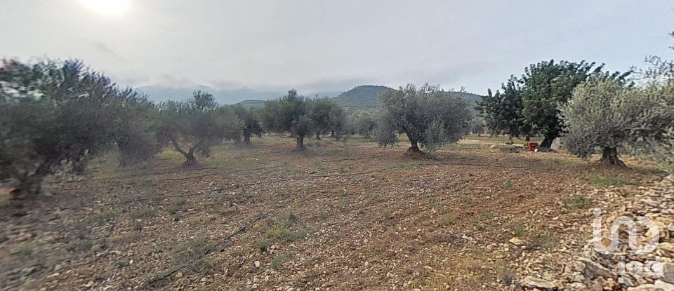 Terrain de 7 486 m² à Alcanar (43530)