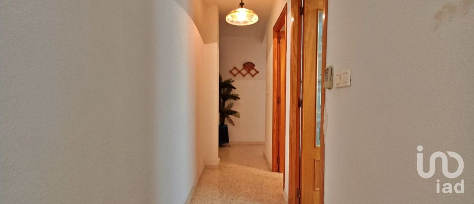 Apartment 3 bedrooms of 118 m² in Oliva (46780)