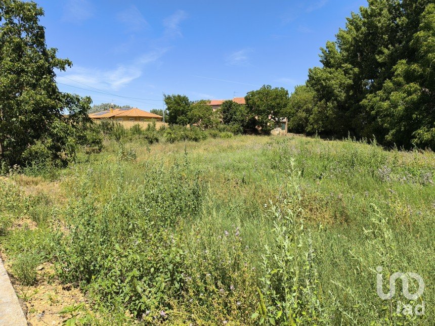 Terrain de 2 163 m² à San Millán de los Caballeros (24237)