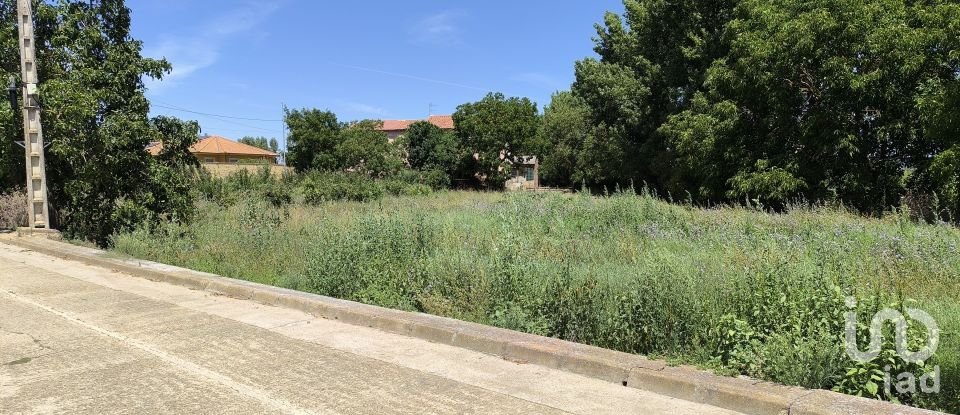 Terrain de 2 163 m² à San Millán de los Caballeros (24237)