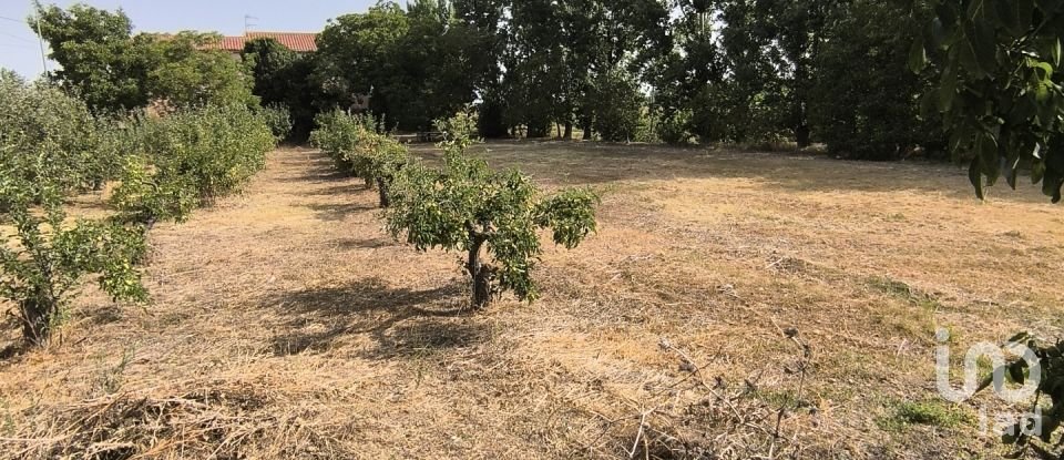 Terrain de 2 163 m² à San Millán de los Caballeros (24237)