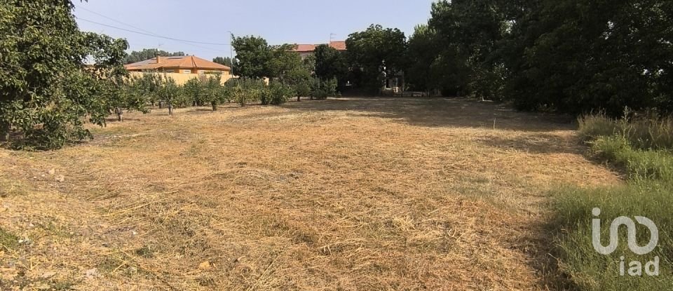 Terrain de 2 163 m² à San Millán de los Caballeros (24237)