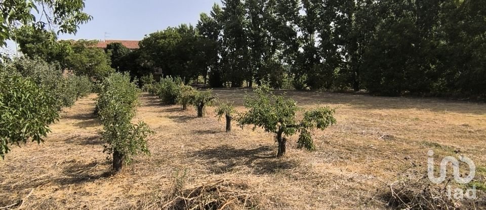 Terrain de 2 163 m² à San Millán de los Caballeros (24237)