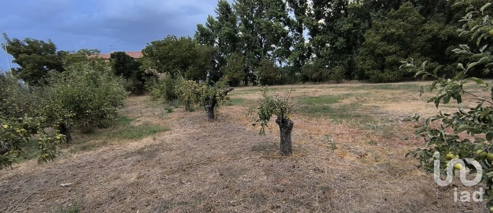 Terrain de 2 163 m² à San Millán de los Caballeros (24237)