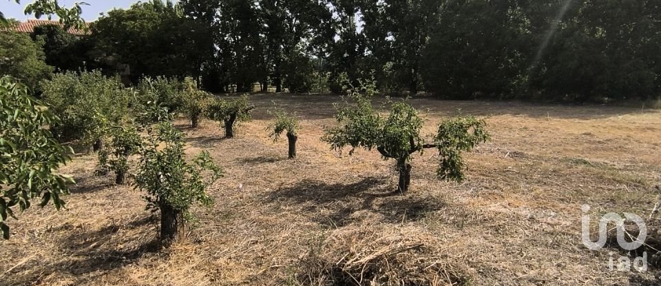 Terrain de 2 163 m² à San Millán de los Caballeros (24237)