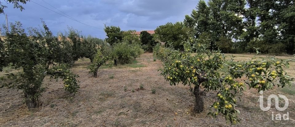 Terrain de 2 163 m² à San Millán de los Caballeros (24237)