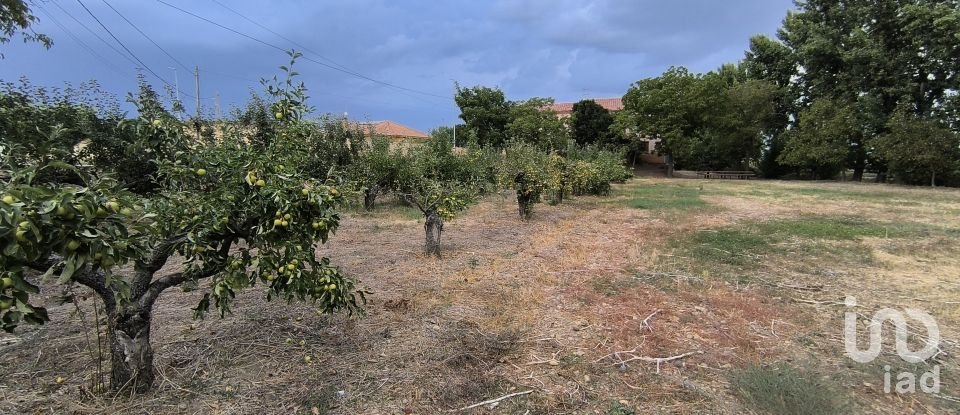 Terrain de 2 163 m² à San Millán de los Caballeros (24237)