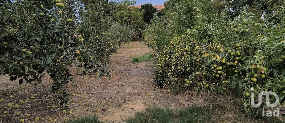 Terrain de 2 163 m² à San Millán de los Caballeros (24237)