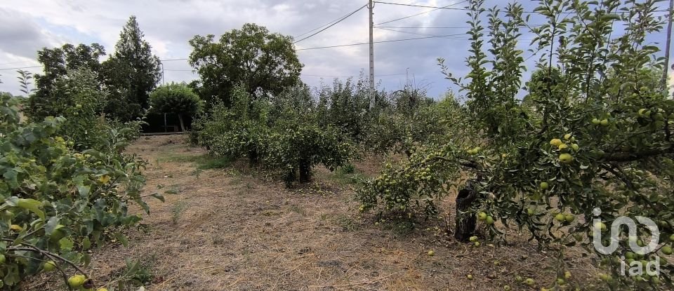 Terrain de 2 163 m² à San Millán de los Caballeros (24237)