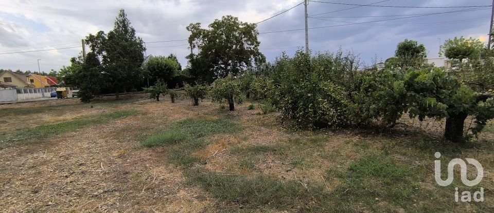 Terrain de 2 163 m² à San Millán de los Caballeros (24237)