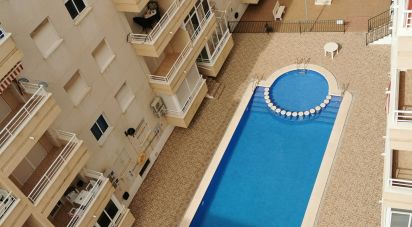 Apartment 3 bedrooms of 87 m² in Torrevieja (03182)