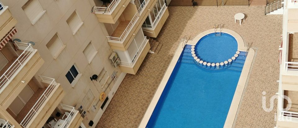 Apartment 3 bedrooms of 87 m² in Torrevieja (03182)