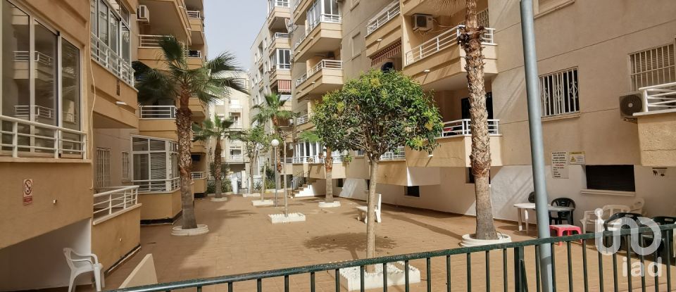 Apartment 3 bedrooms of 87 m² in Torrevieja (03182)