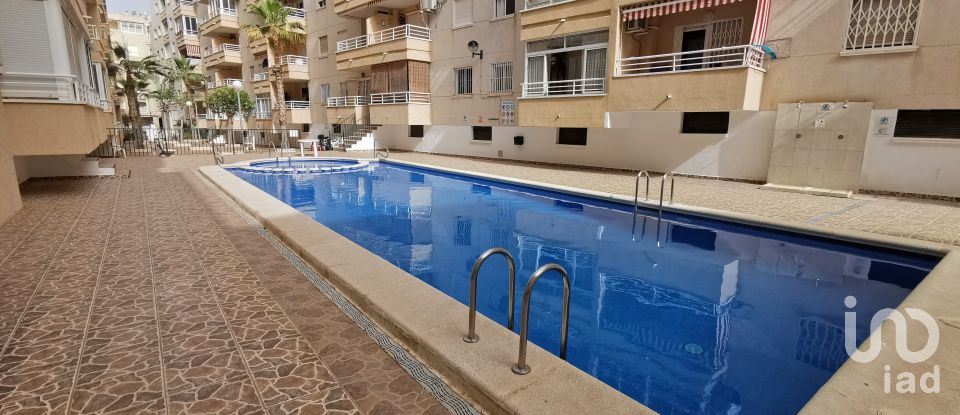 Apartment 3 bedrooms of 87 m² in Torrevieja (03182)