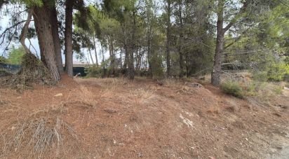 Terreno de 1.012 m² en La Nucia (03530)