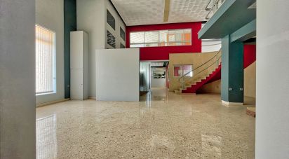 Botiga / Local comercial de 2.505 m² a Pego (03780)