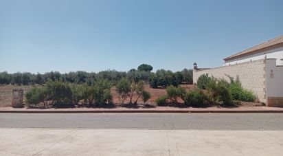 Land of 468 m² in Cañada Rosal (41439)