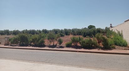 Land of 468 m² in Cañada Rosal (41439)