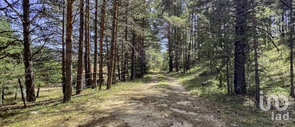 Maison 5 chambres de 277 m² à Alcalá de la Selva (44432)