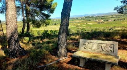 Gîte 6 chambres de 439 m² à Sant Jaume dels Domenys (43713)