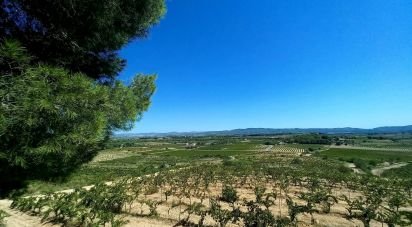 Gîte 6 chambres de 439 m² à Sant Jaume dels Domenys (43713)