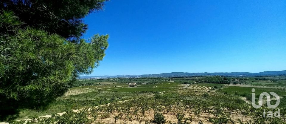 Gîte 6 chambres de 439 m² à Sant Jaume dels Domenys (43713)