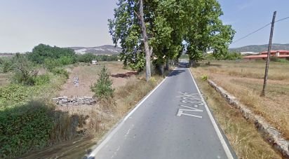 Terreno de 1.659 m² en Ulldecona (43550)