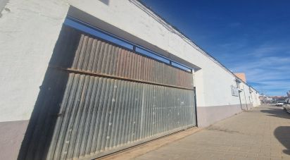 Local d'activités de 352 m² à Dénia (03700)