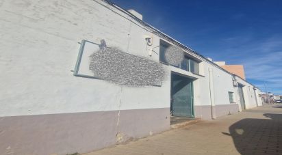 Local d'activités de 352 m² à Dénia (03700)