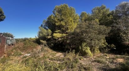 Terrain de 3 086 m² à Palamós (17230)